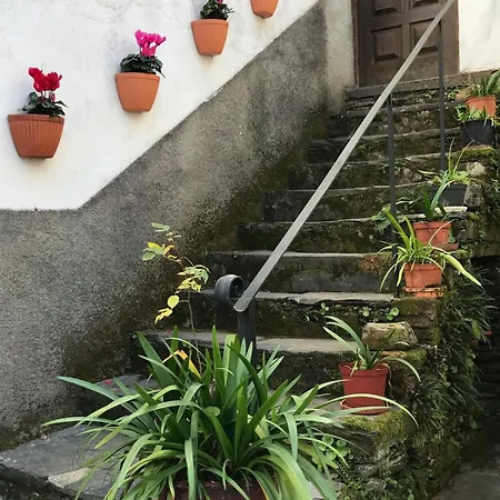 Escapada Na Natureza - Charmoso Refugio Nas Alturas بيت للعطل Góis