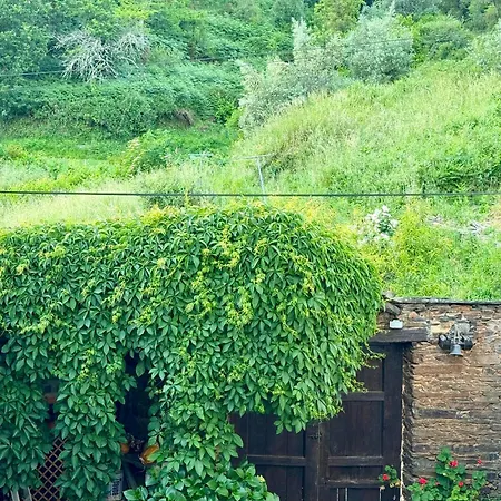بيت للعطل Escapada Na Natureza - Charmoso Refugio Nas Alturas Góis